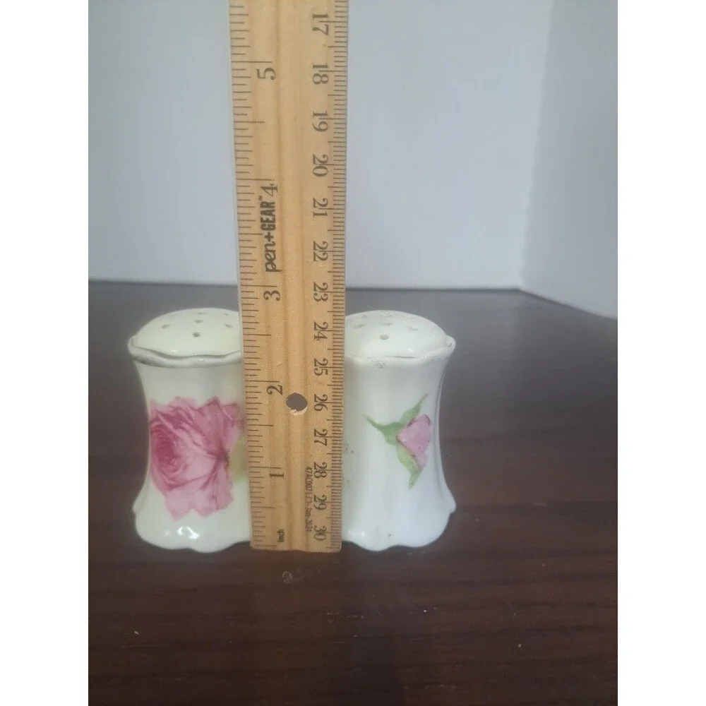 Antique O&EG Royal Austria Rose Pattern Porcelain Salt And Pepper Shaker Set( No